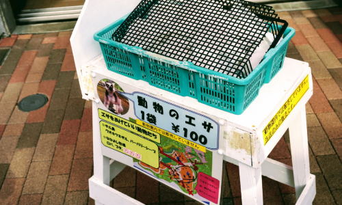 売店で販売しているエサ